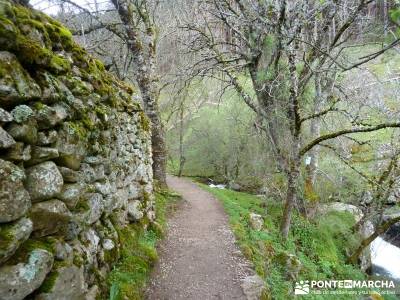 Cascadas Purgatorio,Bosque Finlandia; senderos madrid; asociaciones de senderismo